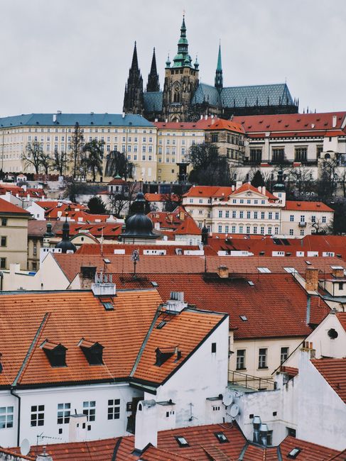 Leseprobe:'Partitura di Praga'
