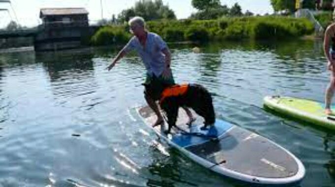 Paddleboarding Mit Hundeführer